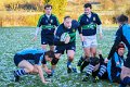 Monaghan Legends V Perennials (16)